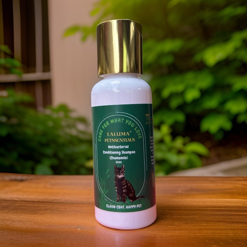 Petssentials Cat Antibacterial Conditioning Shampoo 50ml