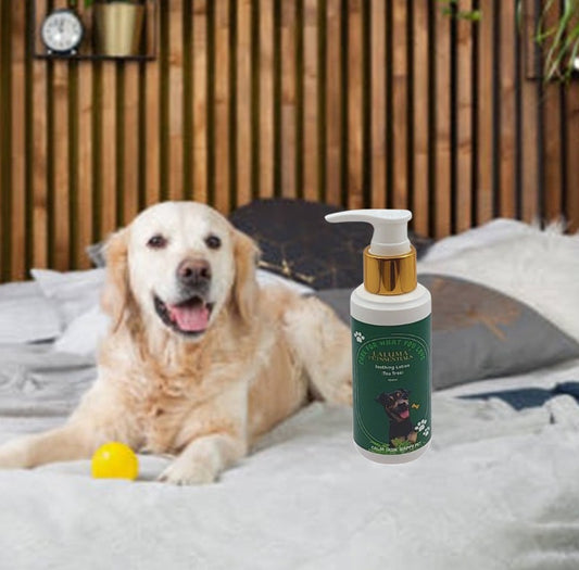 Petssentials Dog Soothing Lotion 100ml